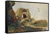 Study of Rocks and Foliage, Agrigento (Girgenti), Sicily, 1847-Edward Lear-Framed Stretched Canvas