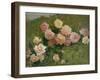 Study of Roses by Luigi Rossi-Luigi Rossi-Framed Giclee Print