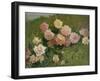 Study of Roses by Luigi Rossi-Luigi Rossi-Framed Giclee Print