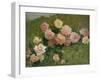 Study of Roses by Luigi Rossi-Luigi Rossi-Framed Giclee Print