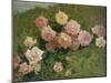 Study of Roses by Luigi Rossi-Luigi Rossi-Mounted Giclee Print