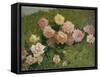 Study of Roses by Luigi Rossi-Luigi Rossi-Framed Stretched Canvas