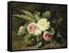 Study of Roses-Gerardina Jacoba Backhuysen-Framed Stretched Canvas