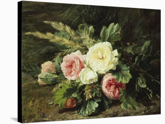 Study of Roses-Gerardina Jacoba Backhuysen-Stretched Canvas