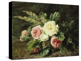 Study of Roses-Gerardina Jacoba Backhuysen-Stretched Canvas