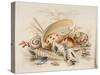 Study of Sea Shells, 1876-Joseph Smith-Stretched Canvas