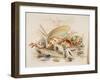 Study of Sea Shells, 1876-Joseph Smith-Framed Giclee Print