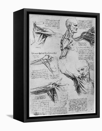 Study of Shoulder Joints, 1510-1511-Leonardo da Vinci-Framed Stretched Canvas