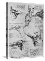 Study of Shoulder Joints, 1510-1511-Leonardo da Vinci-Stretched Canvas