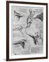 Study of Shoulder Joints, 1510-1511-Leonardo da Vinci-Framed Giclee Print