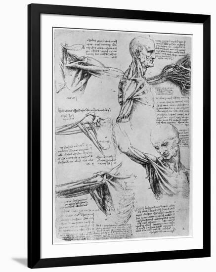 Study of Shoulder Joints, 1510-1511-Leonardo da Vinci-Framed Giclee Print