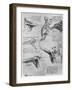 Study of Shoulder Joints, 1510-1511-Leonardo da Vinci-Framed Giclee Print