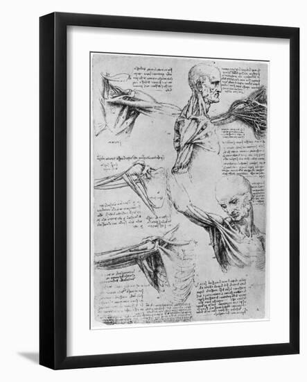 Study of Shoulder Joints, 1510-1511-Leonardo da Vinci-Framed Giclee Print