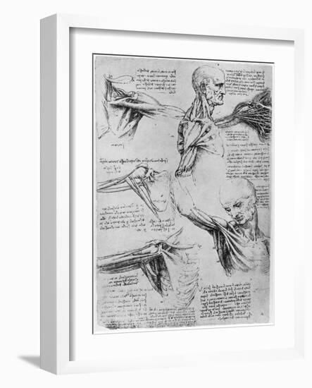 Study of Shoulder Joints, 1510-1511-Leonardo da Vinci-Framed Giclee Print