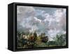 Study of Sky and Trees-John Constable-Framed Stretched Canvas