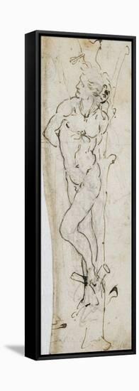 Study of St. Sebastian, 1480-81-Leonardo da Vinci-Framed Stretched Canvas