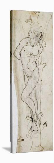 Study of St. Sebastian, 1480-81-Leonardo da Vinci-Stretched Canvas