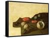 Study of Surinam Fruit and Spices-Dirk Valkenburg-Framed Stretched Canvas