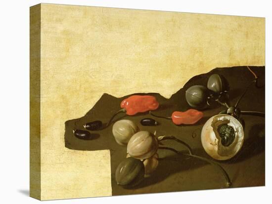 Study of Surinam Fruit and Spices-Dirk Valkenburg-Stretched Canvas