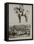 Study of the Battle of Waterloo-Lady Butler-Framed Stretched Canvas