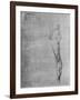 'Study of the Body and Leg of a Man', c1480 (1945)-Leonardo Da Vinci-Framed Giclee Print