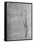 'Study of the Body and Leg of a Man', c1480 (1945)-Leonardo Da Vinci-Framed Stretched Canvas