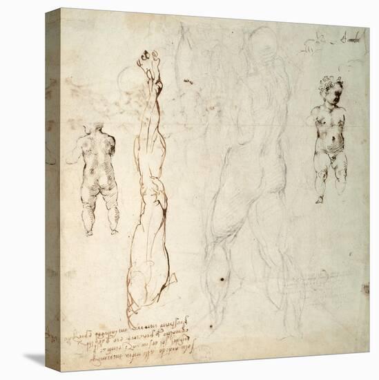 Study of the Christ Child and an Anatomical Drawing with Notes-Michelangelo Buonarroti-Stretched Canvas
