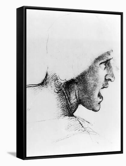 Study of the Head of a Soldier, 1503-4-Leonardo da Vinci-Framed Stretched Canvas