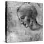 Study of the Head of the Madonna, 15th Century-Leonardo da Vinci-Stretched Canvas