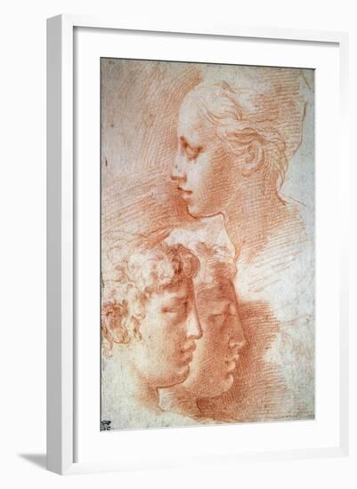 Study of the Heads, C1527-Parmigianino-Framed Giclee Print