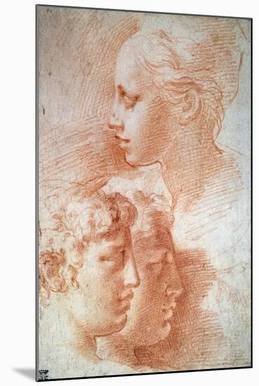 Study of the Heads, C1527-Parmigianino-Mounted Giclee Print