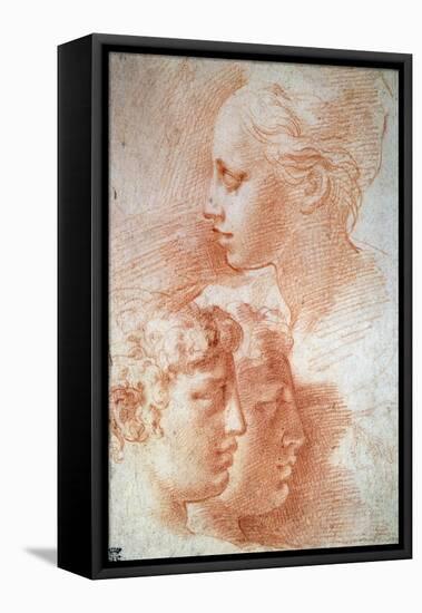 Study of the Heads, C1527-Parmigianino-Framed Stretched Canvas