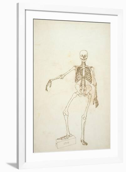 Study of the Human Figure, Anterior View-George Stubbs-Framed Giclee Print