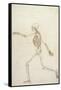 Study of the Human Figure, Lateral View-George Stubbs-Framed Stretched Canvas