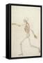 Study of the Human Figure, Lateral View-George Stubbs-Framed Stretched Canvas