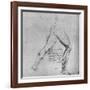 'Study of the Legs of a Man Lunging to the Right', c1480 (1945)-Leonardo Da Vinci-Framed Giclee Print