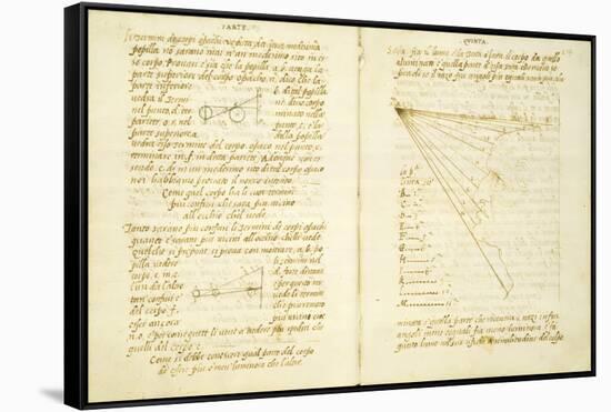 Study of the Light on Male Face, Code Vatican Urbinate Lat. 1270-null-Framed Stretched Canvas