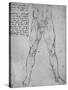 'Study of the Lower Half of a Nude Man Facing to the Front', c1480 (1945)-Leonardo Da Vinci-Stretched Canvas