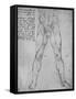 'Study of the Lower Half of a Nude Man Facing to the Front', c1480 (1945)-Leonardo Da Vinci-Framed Stretched Canvas