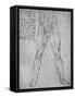 'Study of the Lower Half of a Nude Man Facing to the Front', c1480 (1945)-Leonardo Da Vinci-Framed Stretched Canvas