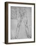 'Study of the Lower Half of a Nude Man Facing to the Front', c1480 (1945)-Leonardo Da Vinci-Framed Giclee Print