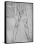 'Study of the Lower Half of a Nude Man Facing to the Front', c1480 (1945)-Leonardo Da Vinci-Framed Stretched Canvas