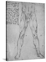'Study of the Lower Half of a Nude Man Facing to the Front', c1480 (1945)-Leonardo Da Vinci-Stretched Canvas
