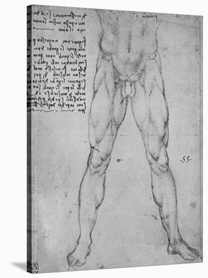 'Study of the Lower Half of a Nude Man Facing to the Front', c1480 (1945)-Leonardo Da Vinci-Stretched Canvas