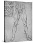 'Study of the Lower Half of a Nude Man Facing to the Front', c1480 (1945)-Leonardo Da Vinci-Stretched Canvas
