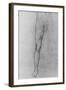 'Study of the Lower Half of a nude man facing to the front', c1480 (1945)-Leonardo Da Vinci-Framed Giclee Print