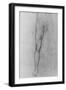 'Study of the Lower Half of a nude man facing to the front', c1480 (1945)-Leonardo Da Vinci-Framed Giclee Print