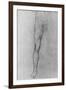 'Study of the Lower Half of a nude man facing to the front', c1480 (1945)-Leonardo Da Vinci-Framed Giclee Print