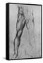 'Study of the Lower Half of a Nude Man Facing to the Front', c1480 (1945)-Leonardo Da Vinci-Framed Stretched Canvas