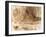 Study of the River Washburn, Yorkshire, c.1815-J. M. W. Turner-Framed Giclee Print